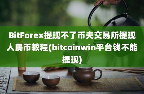 BitForex提现不了币夫交易所提现人民币教程(bitcoinwin平台钱不能提现)