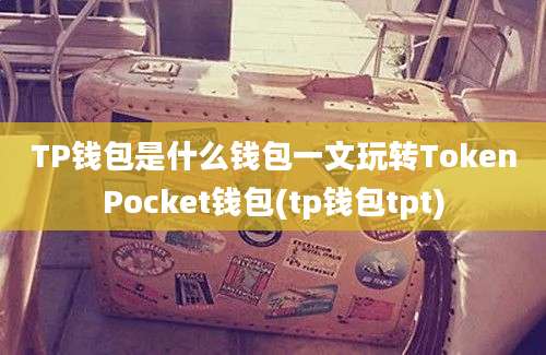 TP钱包是什么钱包一文玩转TokenPocket钱包(tp钱包tpt)