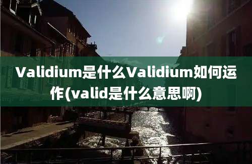 Validium是什么Validium如何运作(valid是什么意思啊)