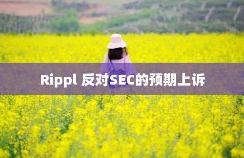 Rippl 反对SEC的预期上诉