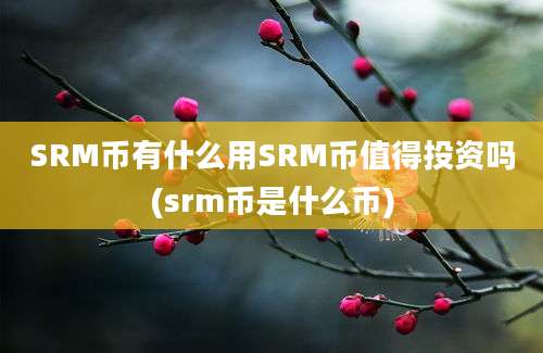 SRM币有什么用SRM币值得投资吗(srm币是什么币)