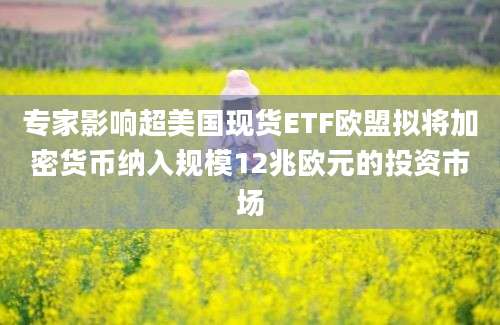 专家影响超美国现货ETF欧盟拟将加密货币纳入规模12兆欧元的投资市场