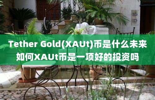 Tether Gold(XAUt)币是什么未来如何XAUt币是一项好的投资吗