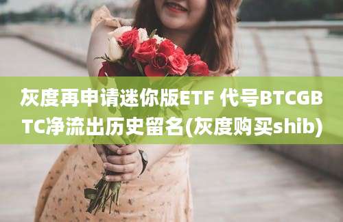 灰度再申请迷你版ETF 代号BTCGBTC净流出历史留名(灰度购买shib)