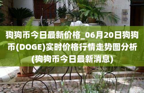 狗狗币今日最新价格_06月20日狗狗币(DOGE)实时价格行情走势图分析(狗狗币今日最新消息)