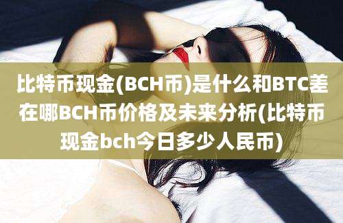 比特币现金(BCH币)是什么和BTC差在哪BCH币价格及未来分析(比特币现金bch今日多少人民币)