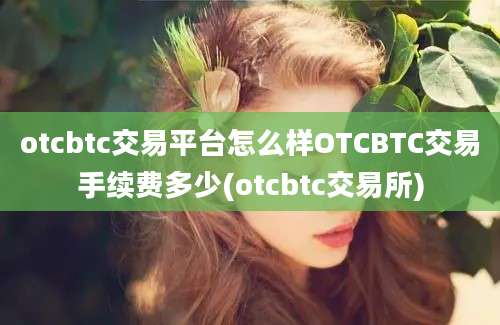 otcbtc交易平台怎么样OTCBTC交易手续费多少(otcbtc交易所)