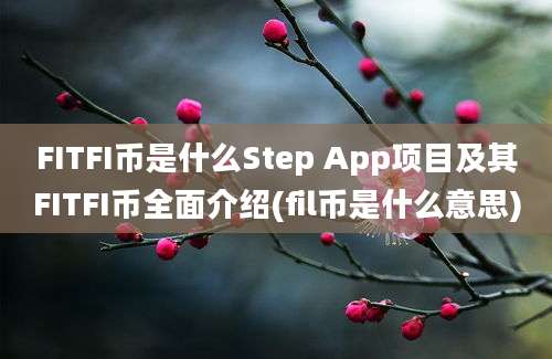 FITFI币是什么Step App项目及其FITFI币全面介绍(fil币是什么意思)