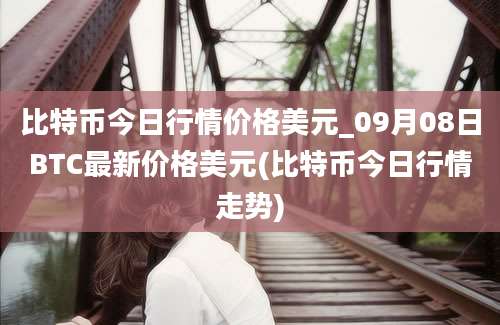 比特币今日行情价格美元_09月08日BTC最新价格美元(比特币今日行情走势)