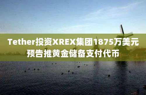 Tether投资XREX集团1875万美元预告推黄金储备支付代币