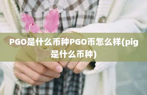 PGO是什么币种PGO币怎么样(pig是什么币种)