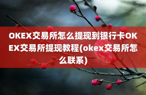 OKEX交易所怎么提现到银行卡OKEX交易所提现教程(okex交易所怎么联系)