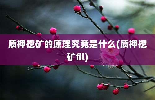 质押挖矿的原理究竟是什么(质押挖矿fil)