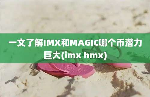 一文了解IMX和MAGIC哪个币潜力巨大(imx hmx)