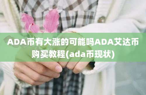 ADA币有大涨的可能吗ADA艾达币购买教程(ada币现状)