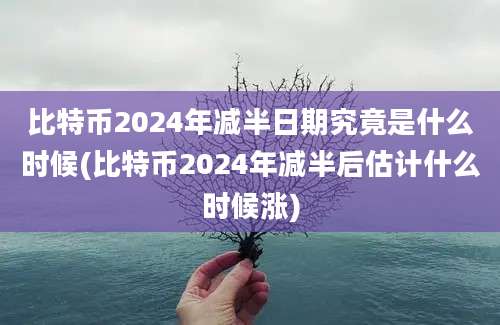 比特币2024年减半日期究竟是什么时候(比特币2024年减半后估计什么时候涨)