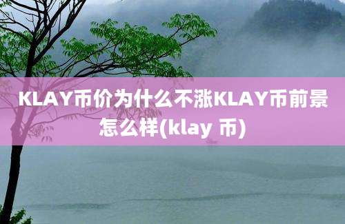 KLAY币价为什么不涨KLAY币前景怎么样(klay 币)