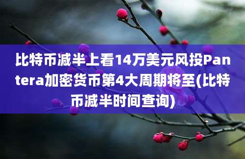 比特币减半上看14万美元风投Pantera加密货币第4大周期将至(比特币减半时间查询)