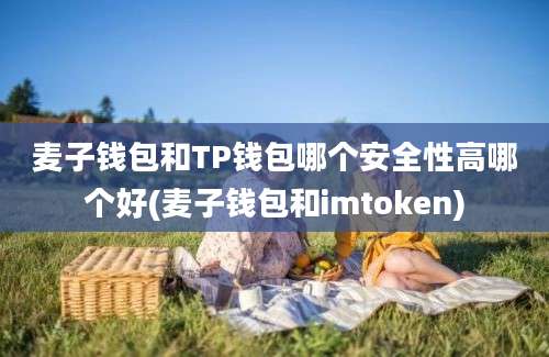 麦子钱包和TP钱包哪个安全性高哪个好(麦子钱包和imtoken)