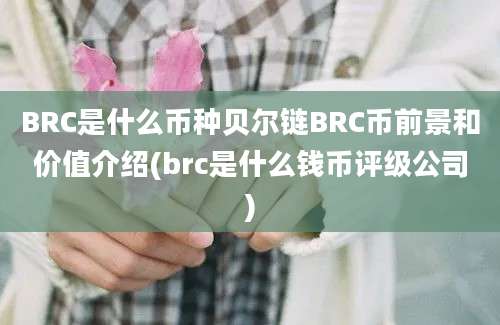 BRC是什么币种贝尔链BRC币前景和价值介绍(brc是什么钱币评级公司)