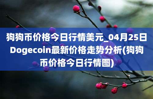 狗狗币价格今日行情美元_04月25日Dogecoin最新价格走势分析(狗狗币价格今日行情图)