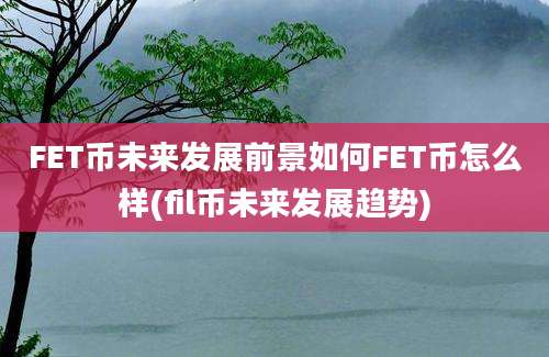 FET币未来发展前景如何FET币怎么样(fil币未来发展趋势)