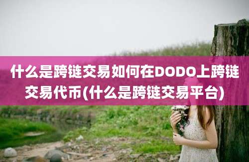 什么是跨链交易如何在DODO上跨链交易代币(什么是跨链交易平台)