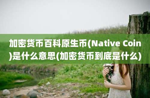 加密货币百科原生币(Native Coin)是什么意思(加密货币到底是什么)