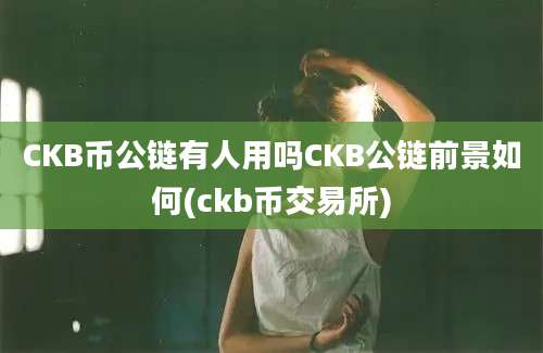 CKB币公链有人用吗CKB公链前景如何(ckb币交易所)