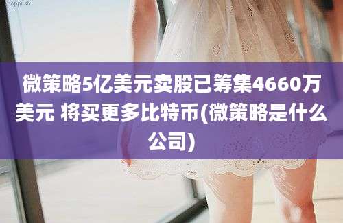 微策略5亿美元卖股已筹集4660万美元 将买更多比特币(微策略是什么公司)