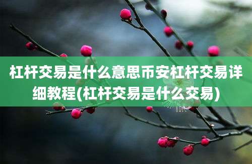 杠杆交易是什么意思币安杠杆交易详细教程(杠杆交易是什么交易)