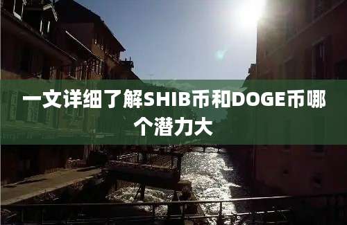 一文详细了解SHIB币和DOGE币哪个潜力大