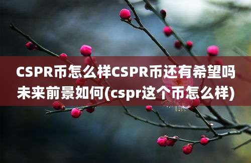 CSPR币怎么样CSPR币还有希望吗未来前景如何(cspr这个币怎么样)