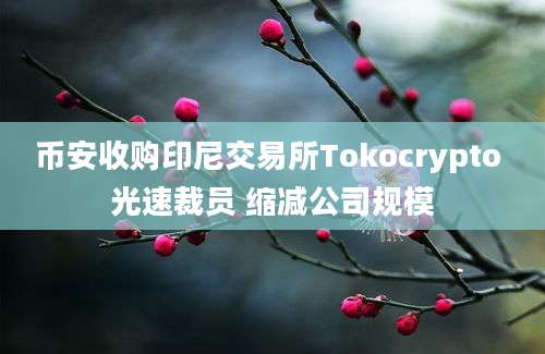 币安收购印尼交易所Tokocrypto 光速裁员 缩减公司规模