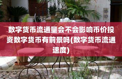 数字货币流通量会不会影响币价投资数字货币有前景吗(数字货币流通速度)