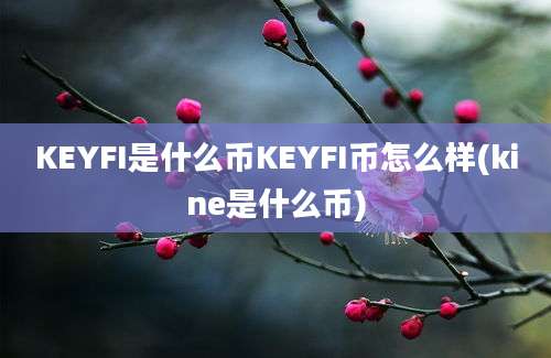 KEYFI是什么币KEYFI币怎么样(kine是什么币)