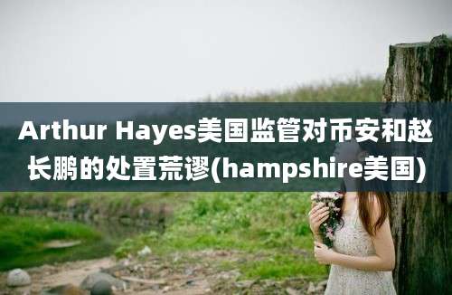 Arthur Hayes美国监管对币安和赵长鹏的处置荒谬(hampshire美国)