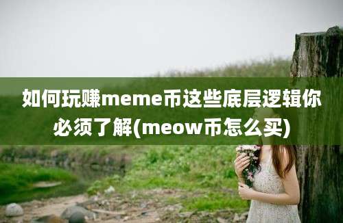 如何玩赚meme币这些底层逻辑你必须了解(meow币怎么买)