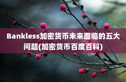 Bankless加密货币未来面临的五大问题(加密货币百度百科)