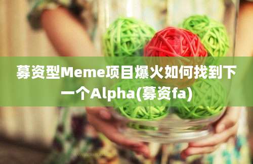 募资型Meme项目爆火如何找到下一个Alpha(募资fa)