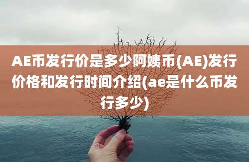 AE币发行价是多少阿姨币(AE)发行价格和发行时间介绍(ae是什么币发行多少)