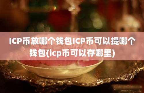 ICP币放哪个钱包ICP币可以提哪个钱包(icp币可以存哪里)