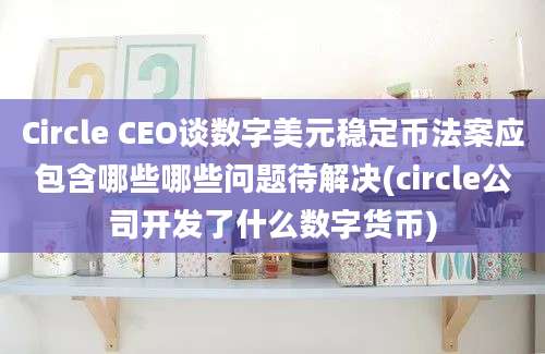 Circle CEO谈数字美元稳定币法案应包含哪些哪些问题待解决(circle公司开发了什么数字货币)