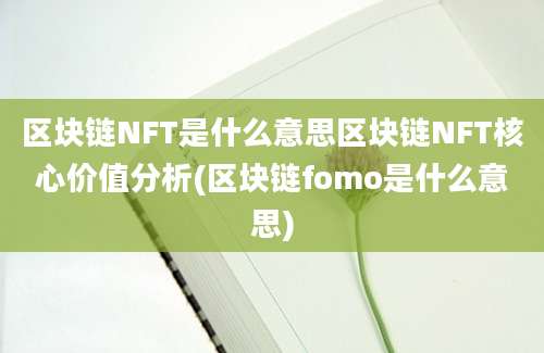 区块链NFT是什么意思区块链NFT核心价值分析(区块链fomo是什么意思)