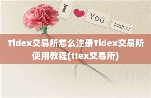 Tidex交易所怎么注册Tidex交易所使用教程(ttex交易所)