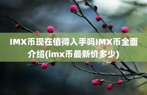 IMX币现在值得入手吗IMX币全面介绍(imx币最新价多少)