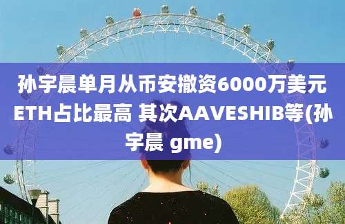 孙宇晨单月从币安撤资6000万美元ETH占比最高 其次AAVESHIB等(孙宇晨 gme)