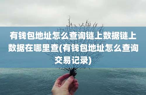 有钱包地址怎么查询链上数据链上数据在哪里查(有钱包地址怎么查询交易记录)