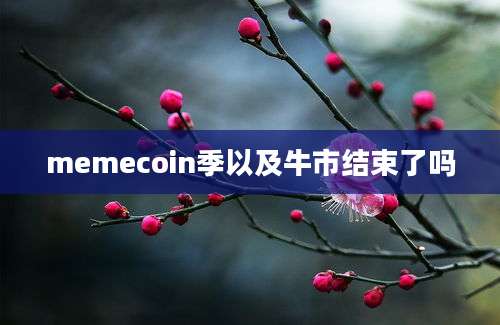 memecoin季以及牛市结束了吗