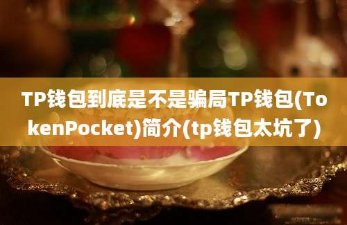 TP钱包到底是不是骗局TP钱包(TokenPocket)简介(tp钱包太坑了)